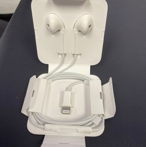 Original Apple Earphones
